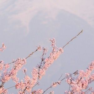 Meet your Posher, Kira